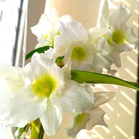 Patak-Party Apartmanok Bogacs Bagian luar foto