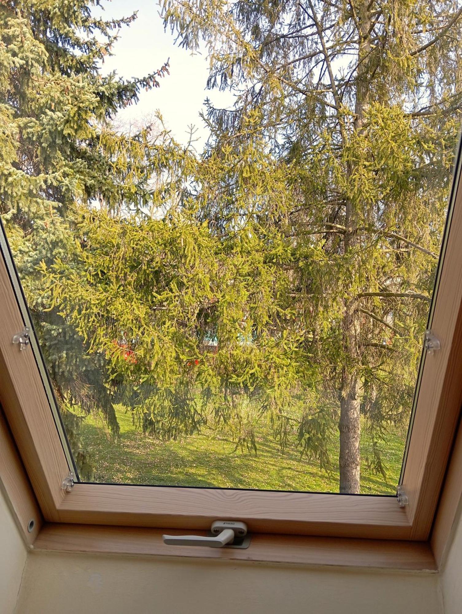 Patak-Party Apartmanok Bogacs Bagian luar foto